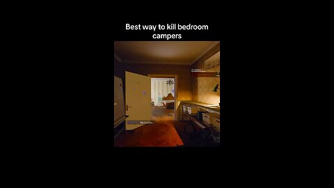 Best way to kill bedroom campers