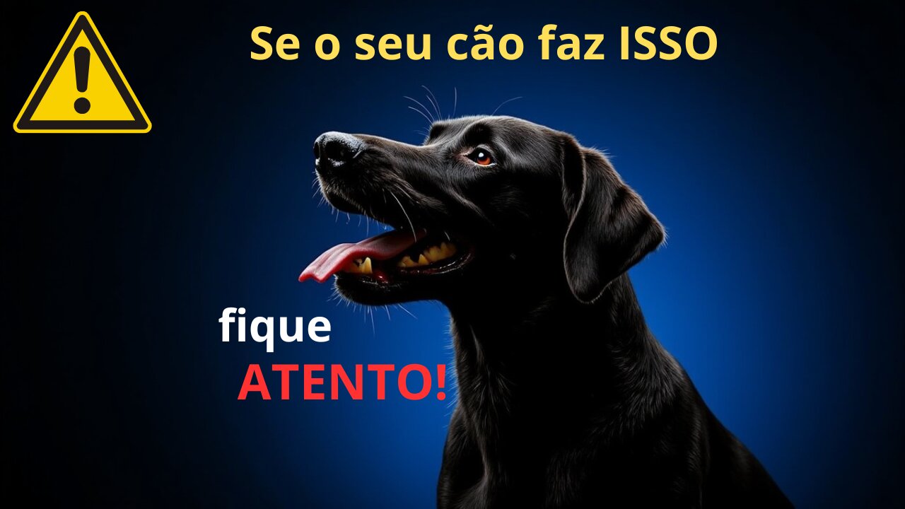 Alerta de Saúde: Por que os Cães Mostram a Língua Quando Estão Doentes?