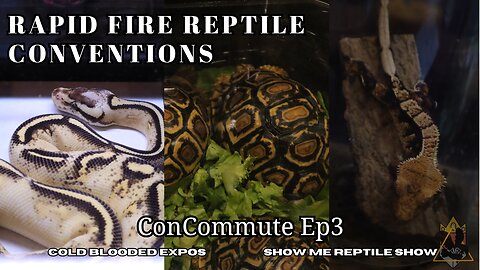 Reptile Conventions Across Kansas City | ConCommute Ep3