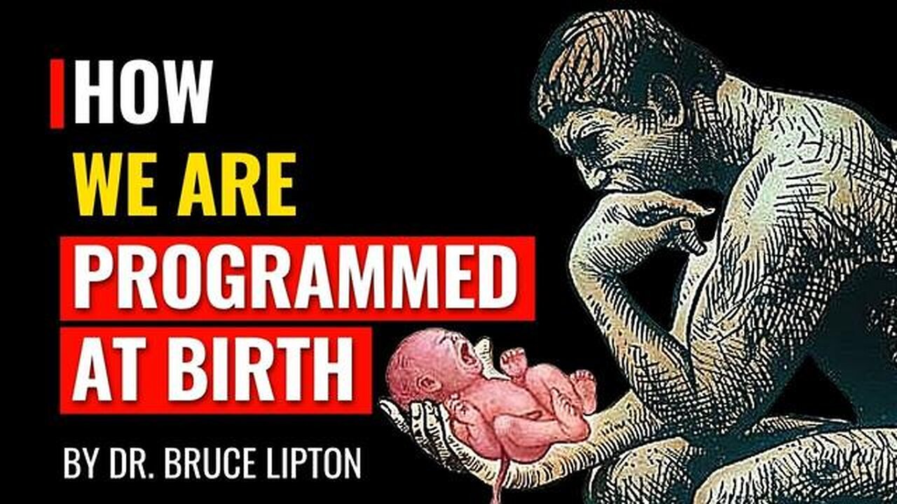 Dr. Bruce Lipton Explains How We Are Programmed From Birth - KILLUMINATI13420