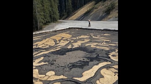 Northwest Passage 🇨🇦🫡❤️ Tribute to Stan Rogers and Canada
