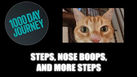 1000 Day Journey 0941 Steps, Nose Boops, and More Steps