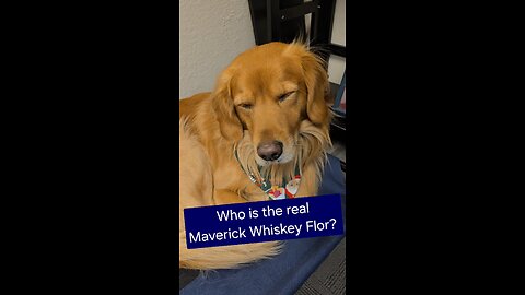 Who is the real Maverick?