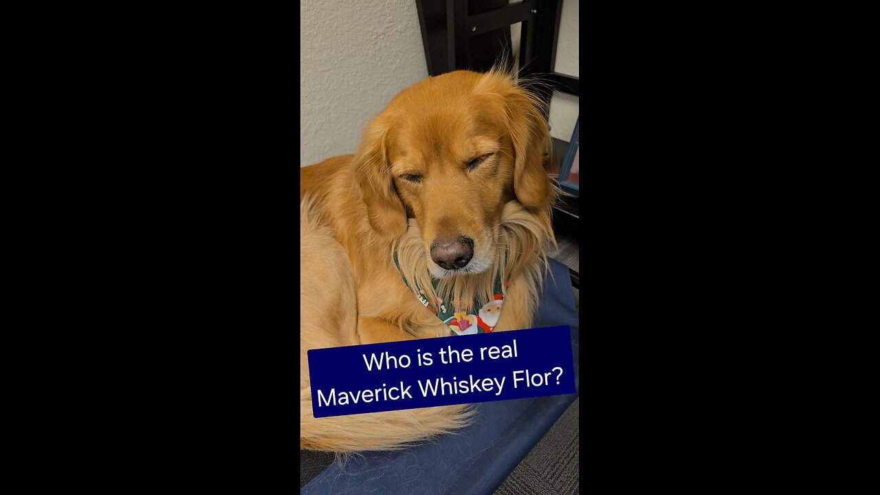 Who is the real Maverick?