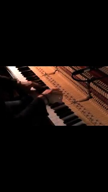 UNDERSTANDING YOUR CALL - DAILY DEVOTIONAL ❤️