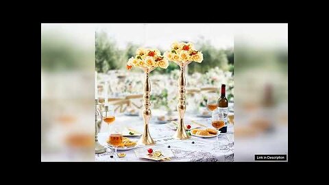 VEVOR 24PCS 50cm/19.7” Wedding Flower Vase Metal Gold Floral Stand for Table Review