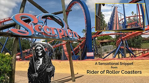 A Sensational Snippet from Rider of Roller Coasters: Scorpion @ Busch Gardens, Tampa [On & Off Ride]