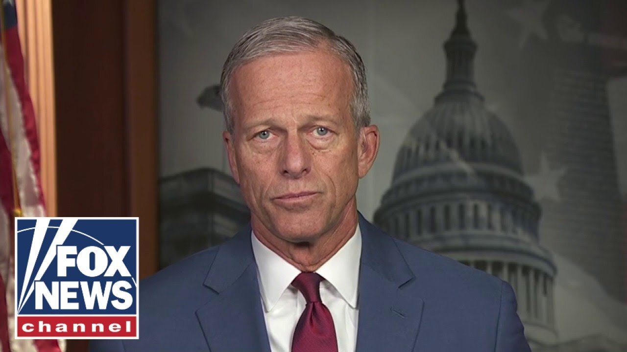 ‘DESPERATE’: Top Senate Republican calls out Dems in shutdown fight