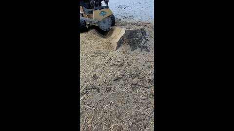 stump grinding