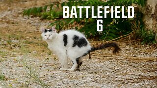 Battlefield 6 Smells Like Cat Piss | You Lied To Me