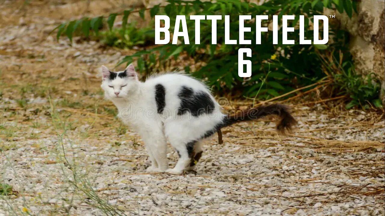 Battlefield 6 Smells Like Cat Piss | You Lied To Me
