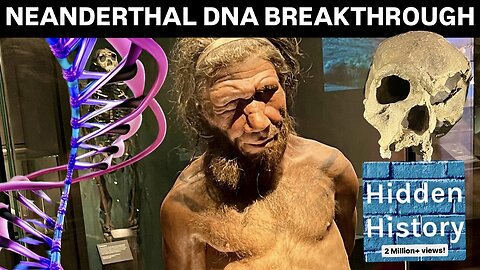 Neanderthal ancient DNA breakthrough from old museum specimens