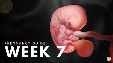 What to Expect at Week 7 | Week by Week Pregnancy Guide