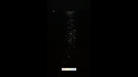 MOON SEA SPARKLE ✨