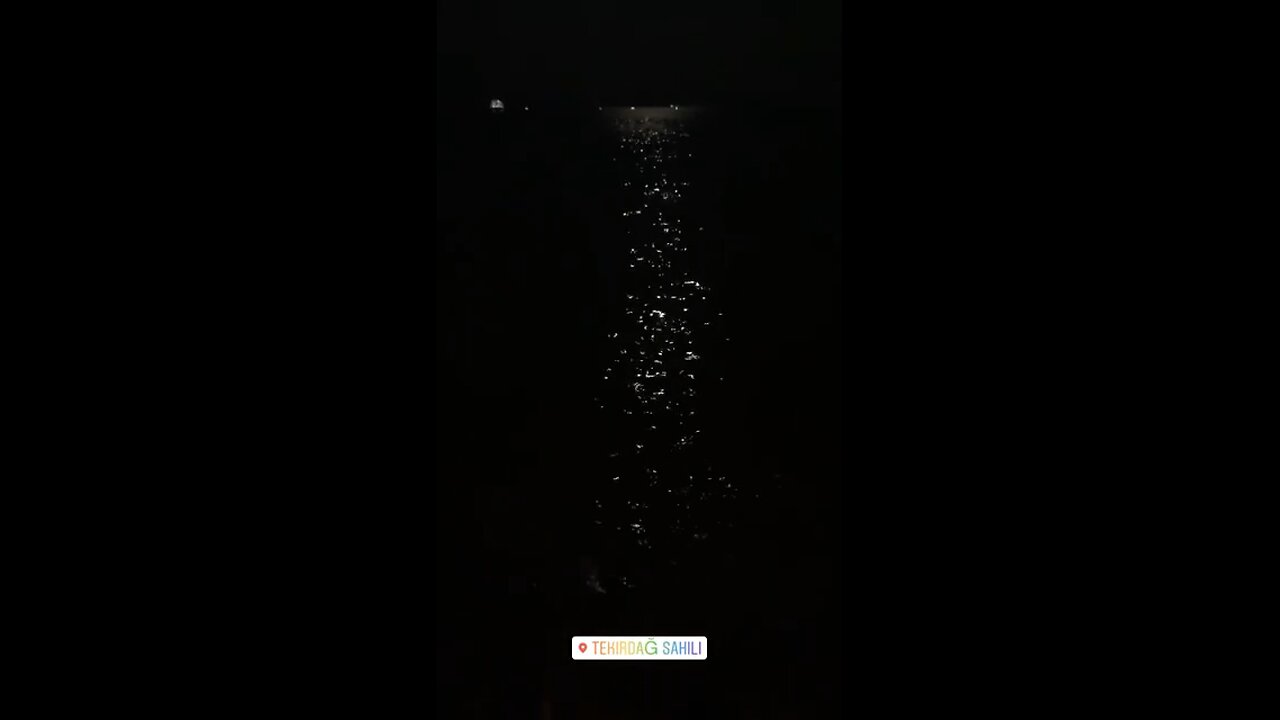 MOON SEA SPARKLE ✨