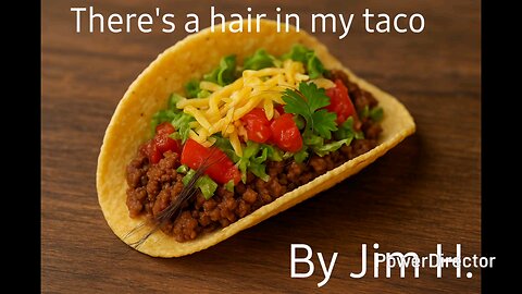 There's a hair in my taco: a fun song