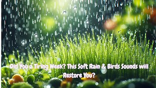 A TIRING WEEK? THIS SOFT RAIN & BIRDS SOUNDS CALM YOUR MIND, RELAX & RECHARGE YOU • RESTORE SLEEP