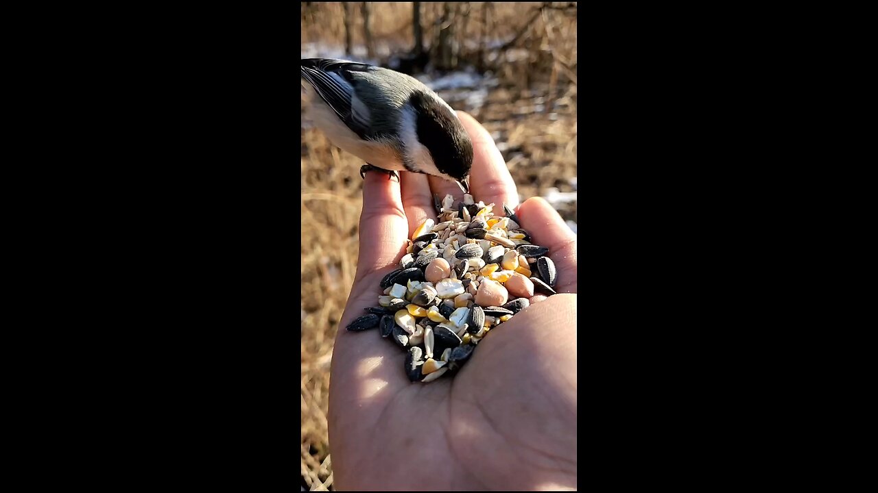 Daily Verse March 27th 2025