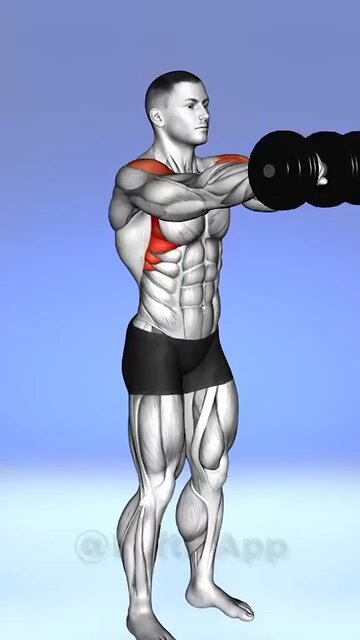 Gym Shoulder Workouts For Men And Women