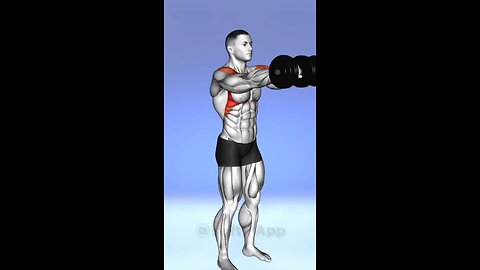 Gym Shoulder Workouts For Men And Women