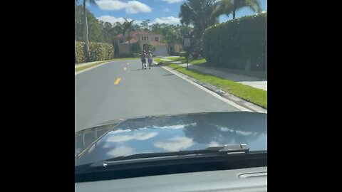 Karen decides she gets to walk in the street