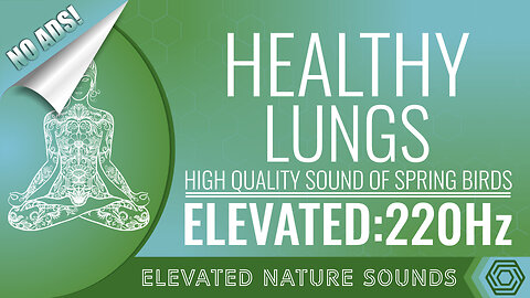 220 Hz Frequency For Healthy Lungs with Spring Birds NO ADS