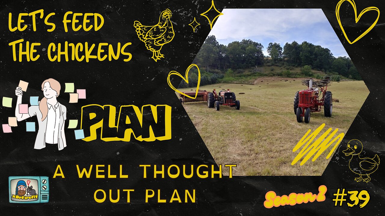 A Well thought out plan | Let's Feed the Chickens | E39