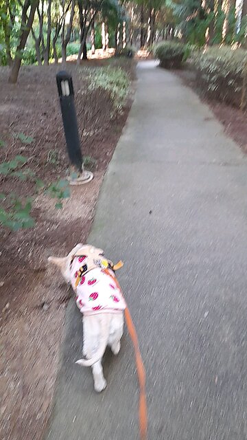 20251028. I Believe God Father Almighty.