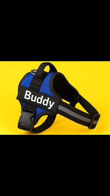 Walks made easy with DoxieDay’s No-Pull Harness