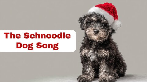 The Schnoodle Dog Song