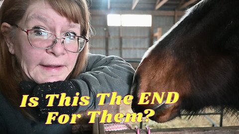 The FUTURE Of LADY And SOPHIE After Their BAD Ride!