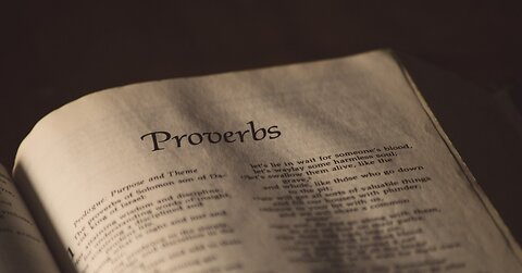 Proverbs TWENTY EIGHT