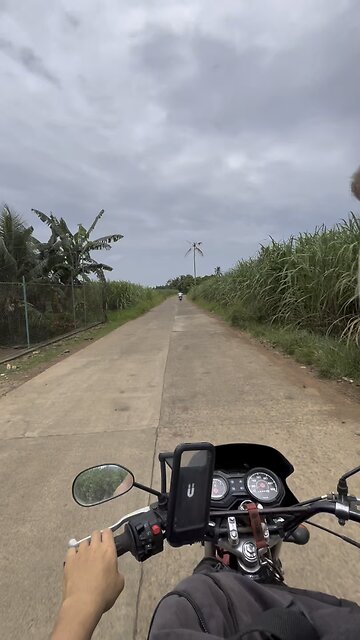 Rambutan Picking. REAL Juicy. $0.40/Kilo (20 pesos per kilo) #Philippines