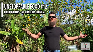Unstoppable Food #12: Unstoppable Food Updates – November in FL