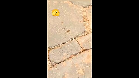 Attackers got attacked