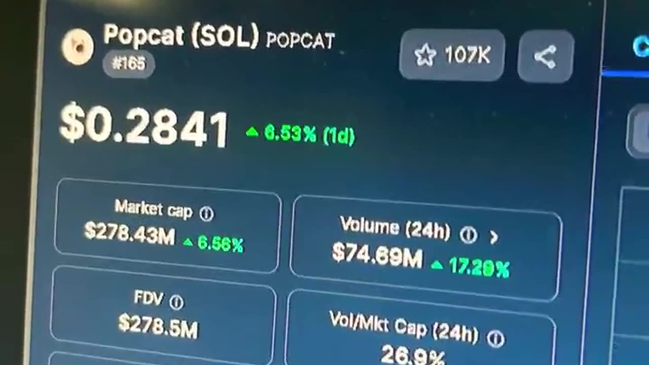 popcat crypto coin price prediction #fyp