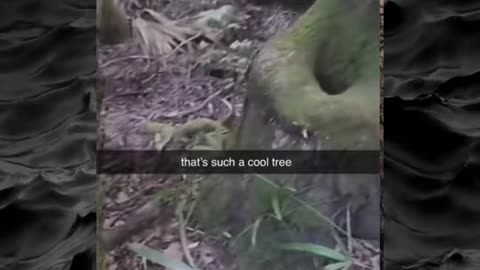 😱👻 You Won't Believe What They Caught on Camera! Creepy Paranormal | TheHauntingHour