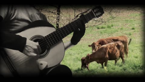 Carpenters - For All We Know / Classical guitar solo