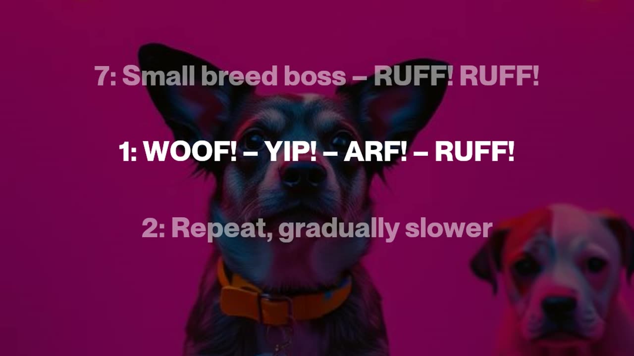 Bark Boss 2
