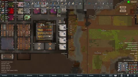 304 Rimworld w Necomi