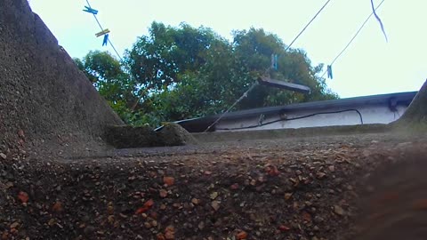 Día gris y de llovizna en Tacuarembó (28/09/2025)