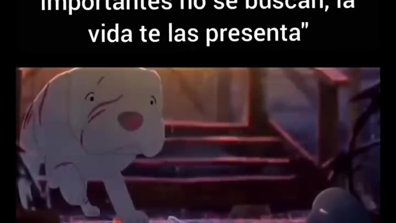 sdsd