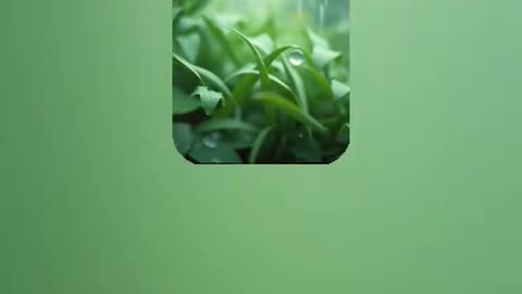 meditation 4
