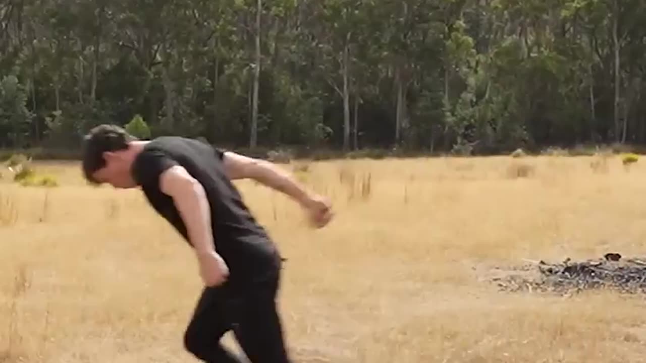 If animals did parkour Part 4