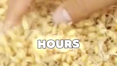 Make Biotin Powder at Home for Healthier Hair & Skin!