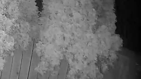😱👻 You Won't Believe This Strange Light in Backyard! | TheHauntingHour