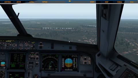 Landing in Punta Gorda (KPGD)