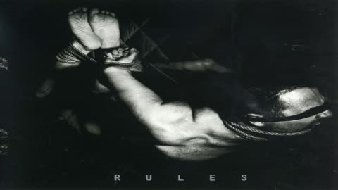 Alligator - Rules