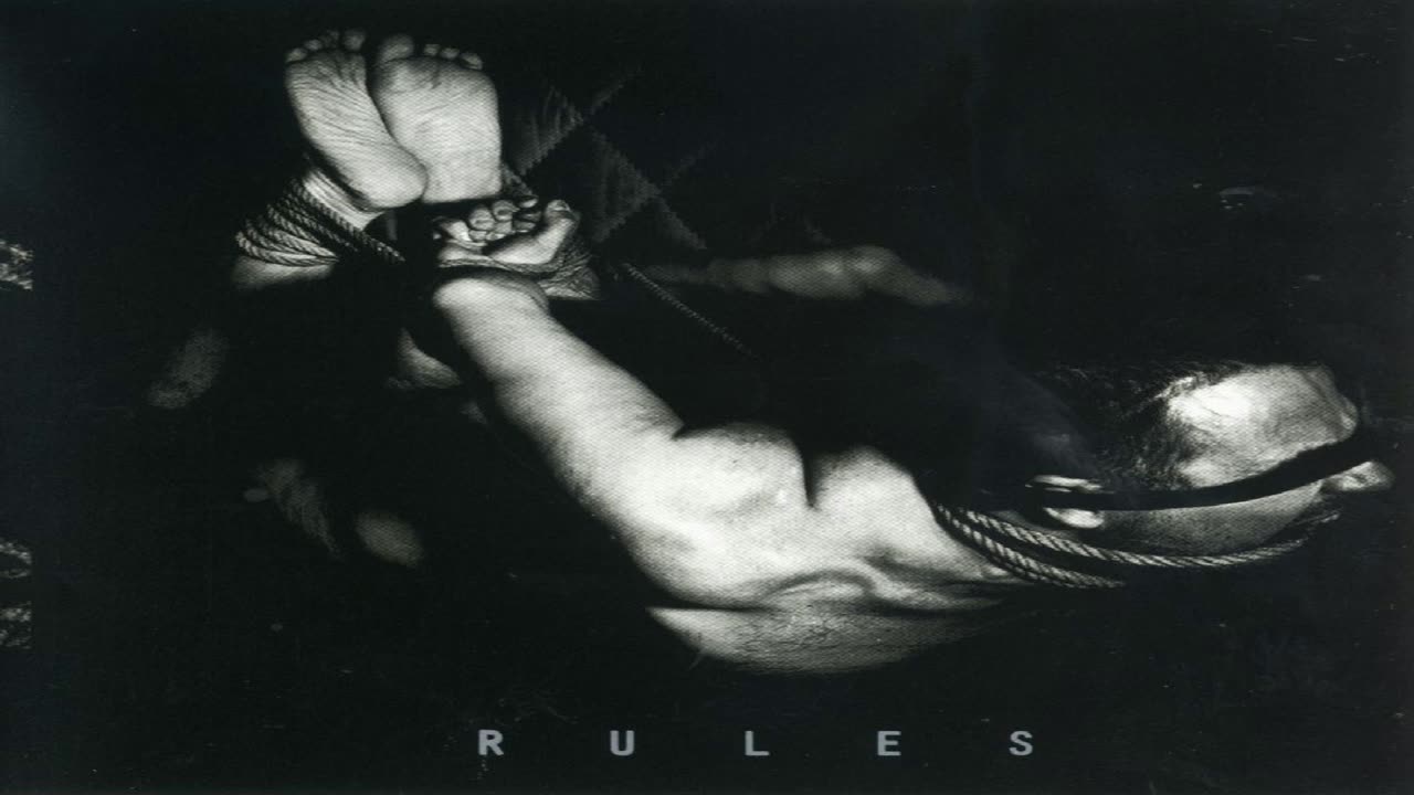 Alligator - Rules