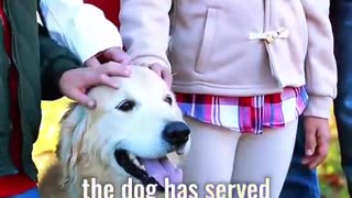 The Origin of DOGs 🐾 🐕🐶🐩👣 💟 Frequency Stabilizers ❤️‍🔥 ~ Companions 🤗❤️‍🩹